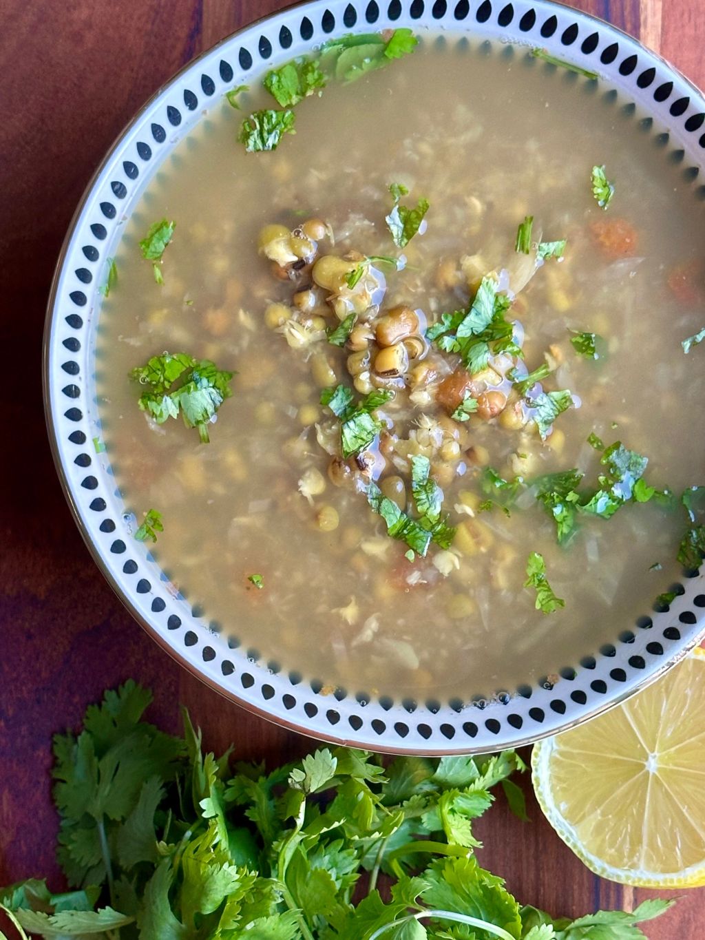 Mung Bean Soup Instant Pot (Whole (Dry) Green Bean&nbsp;Soup)